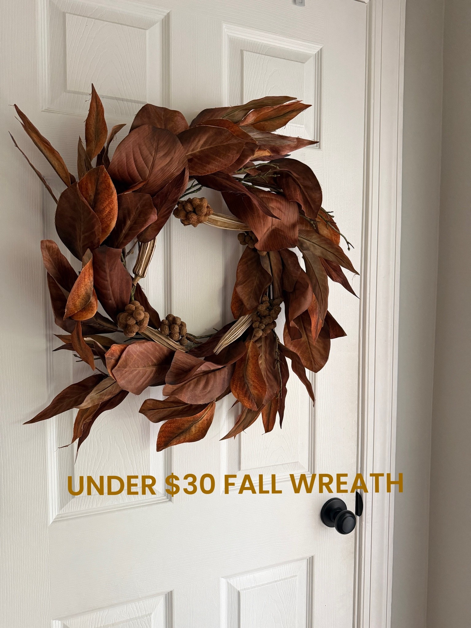 24” wreath for an insane price! Run 🏃 #falldecor #wayfair #fallhomedecor

#LTKSeasonal #LTKHome #LTKSaleAlert