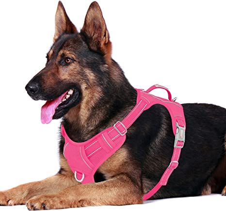 BARKBAY No Pull Dog Harness Front Clip Heavy Duty Reflective Easy Control Handle for Large Dog Wa... | Amazon (US)