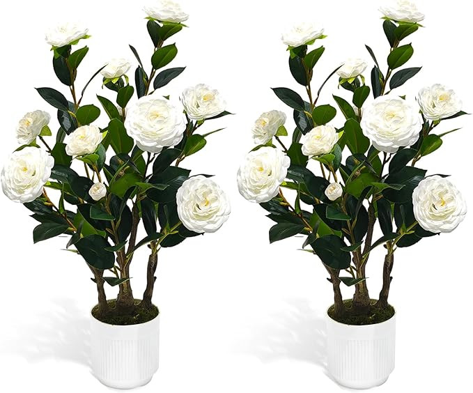 2Pack Artificial Camellia Tree, 2FT Faux Camellia Plant in Pot with White Flowers for Spring Home... | Amazon (US)