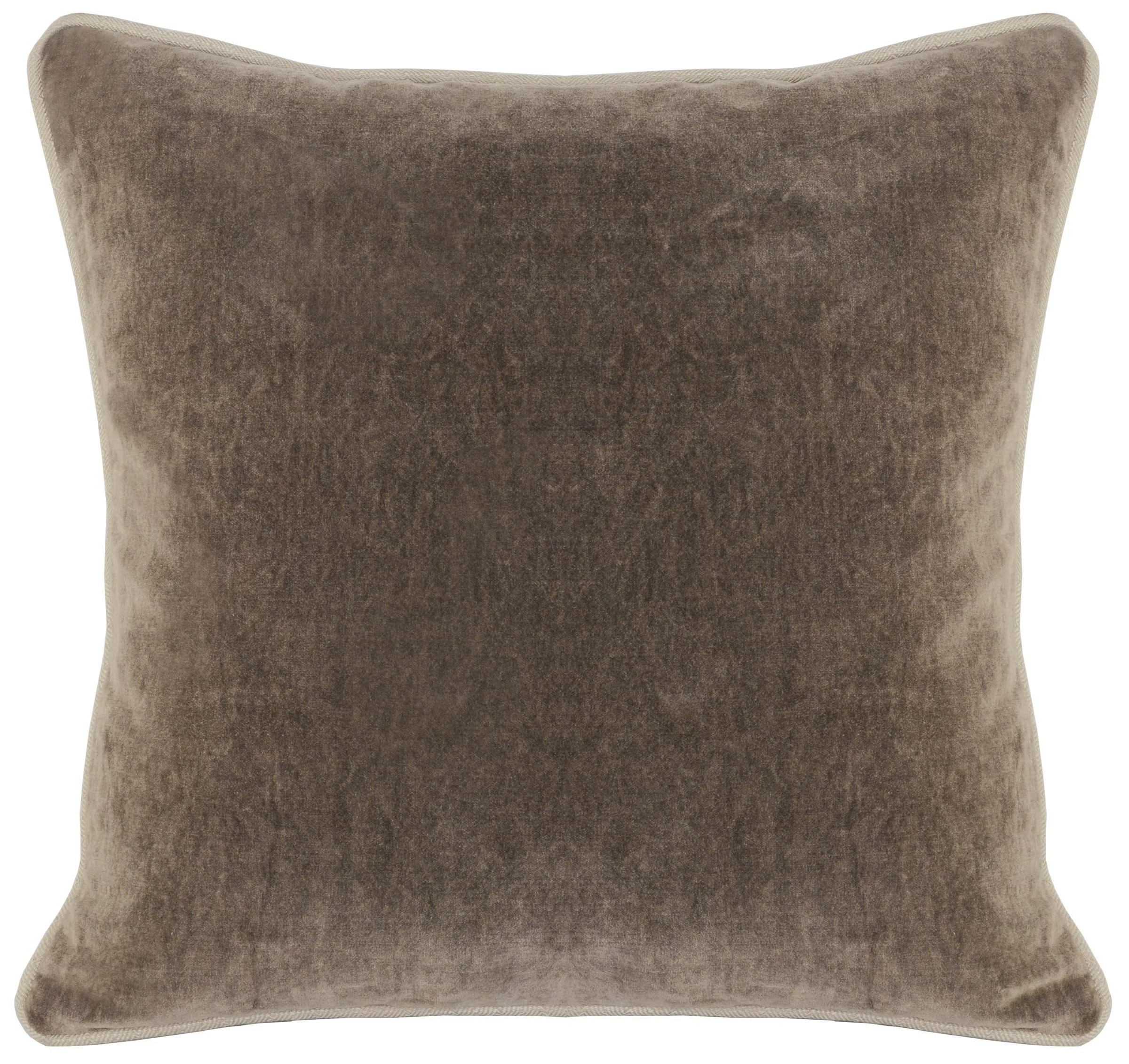 Goodall Velvet Pillow Cover & Insert | Wayfair North America