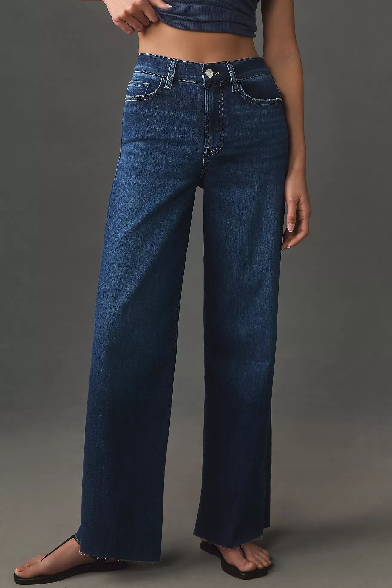 Frame Le Slim Palazzo High-Rise Wide-Leg Jeans | Anthropologie (US)