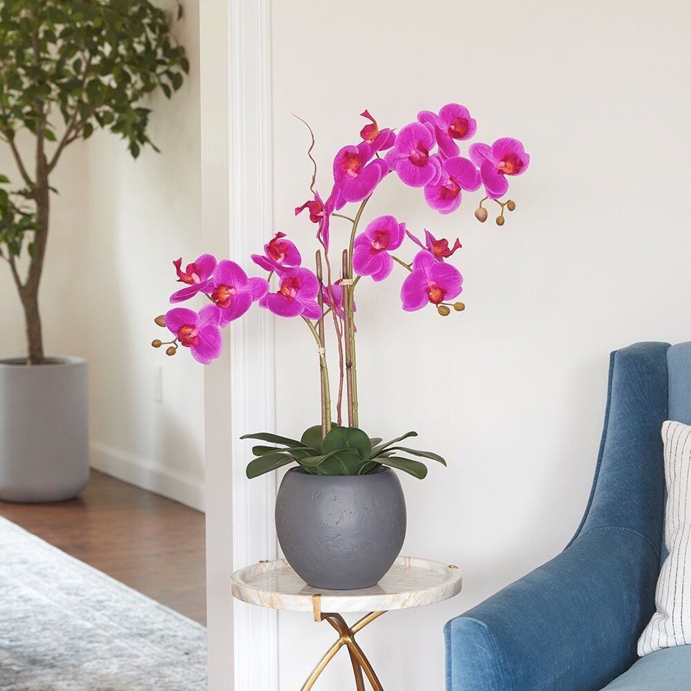 CG Hunter Artificial Pink Double Stem Orchid in Grey Planter one_size | ORC-23018 | Lowe's