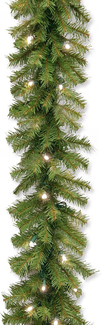 National Tree Company 9 ft Pre-Lit Norwood Fir Artificial Christmas Garland, Christmas Decoration... | Amazon (US)