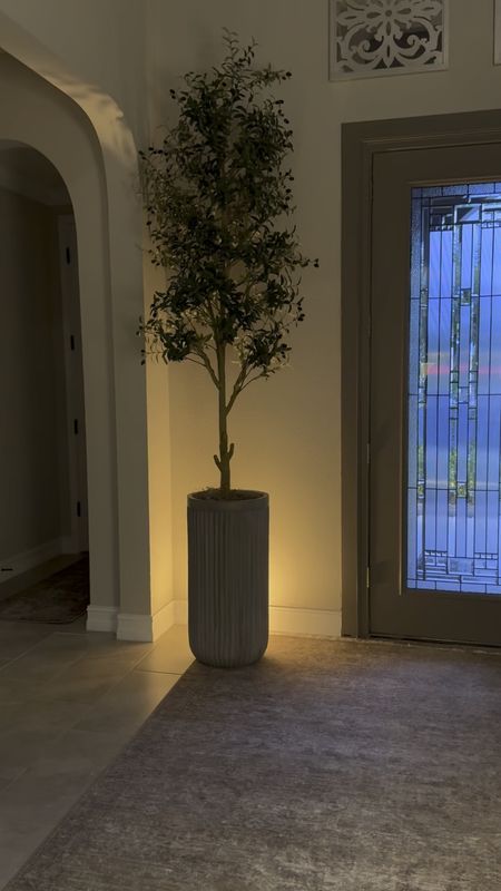 It’s no secret that I love faux trees! These are so realistic and beautiful!


Nearly natural tree, olive tree, UV safe olive tree, minimalistic citrus tree, 10 foot olive tree, tree spotlight, pottery barn planter, fluted planter 

#LTKFindsUnder100 #LTKHome #LTKVideo