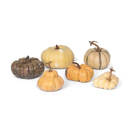 "Le Potiron" French Pumpkin Collection, Set Of 6 | Wayfair North America