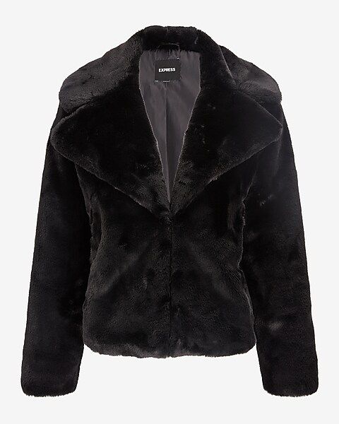 Collared Plush Faux Fur Coat | Express