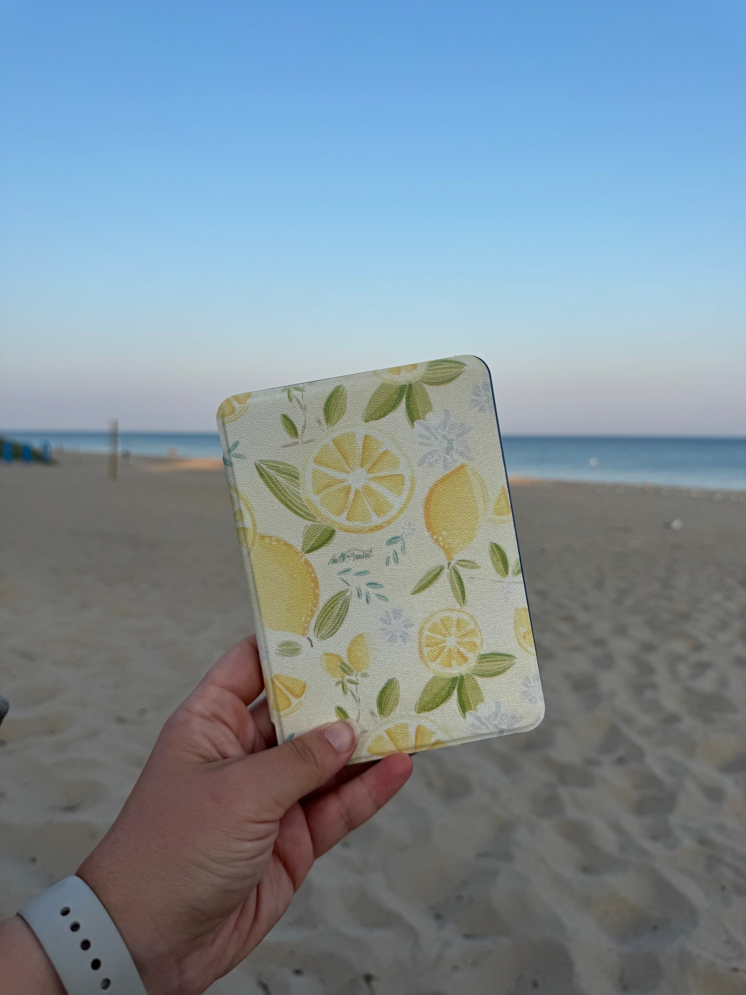 favorite kindle case I’ve ever owned 

#LTKHome #LTKHoliday