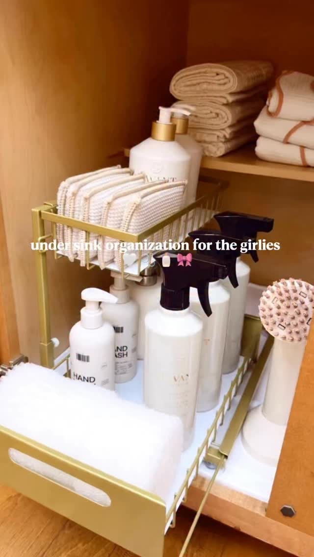 Under kitchen sink organization essentials 

#LTKHome