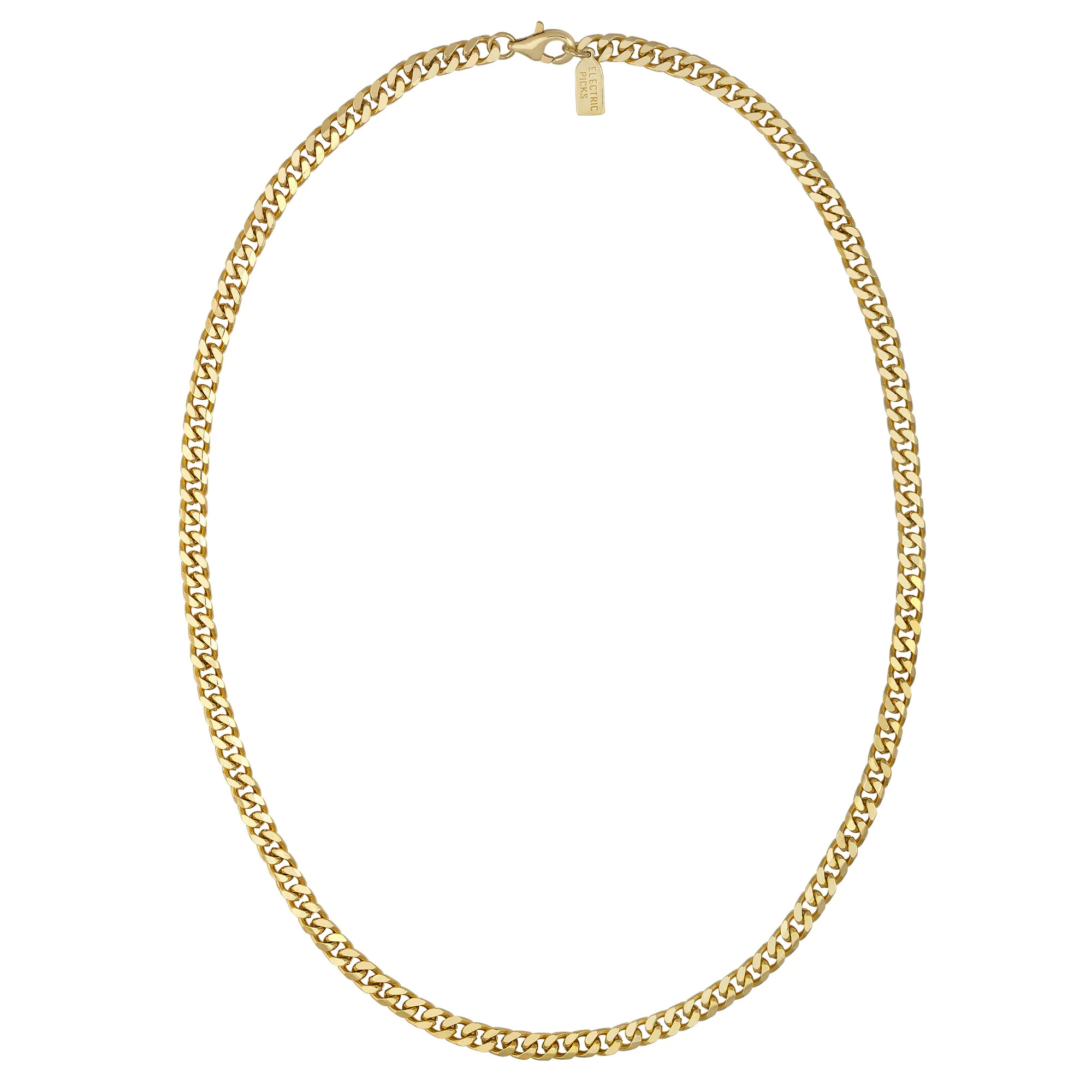 Leo Necklace | Electric Picks Jewelry