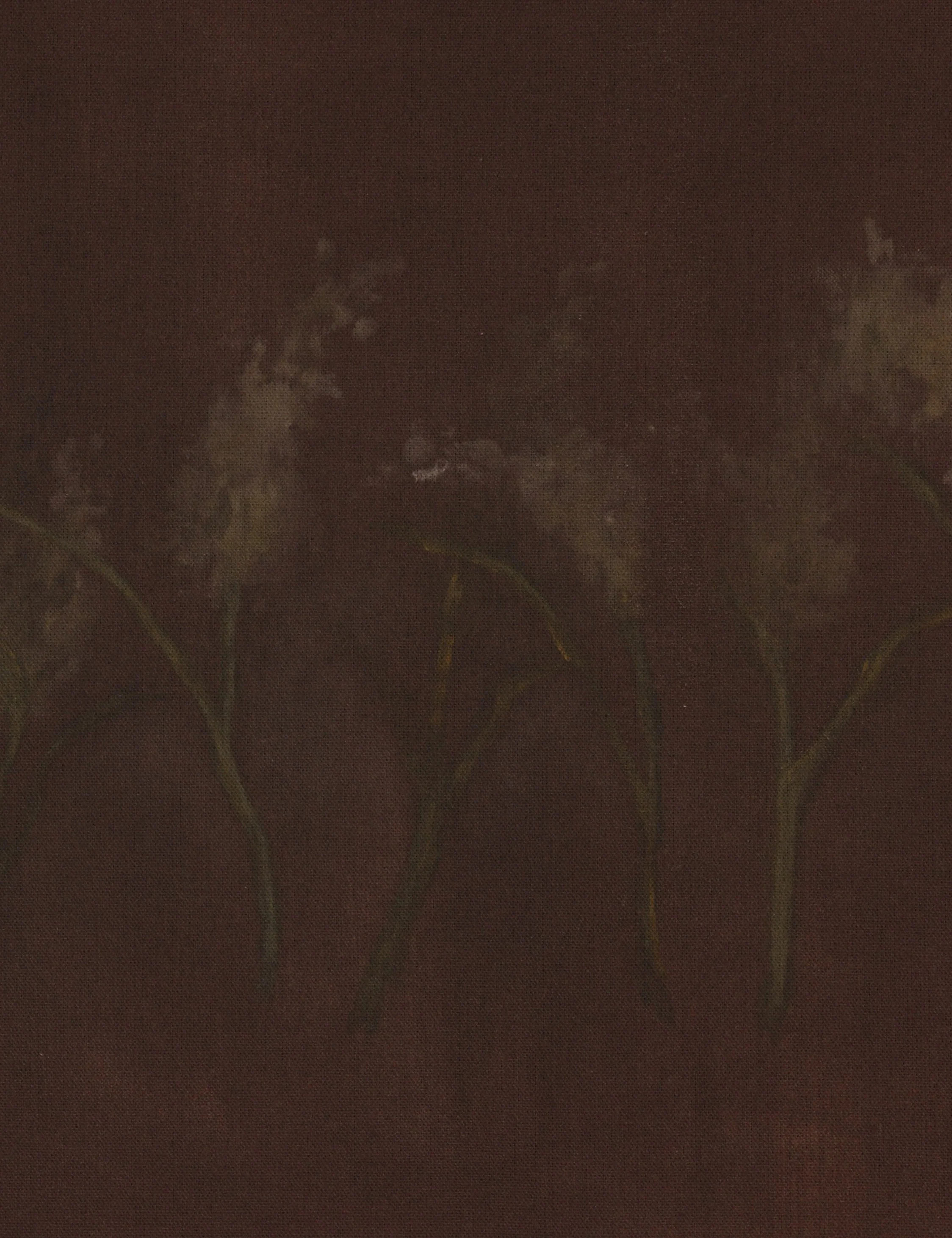 Bloom III Wall Art | Lulu and Georgia 