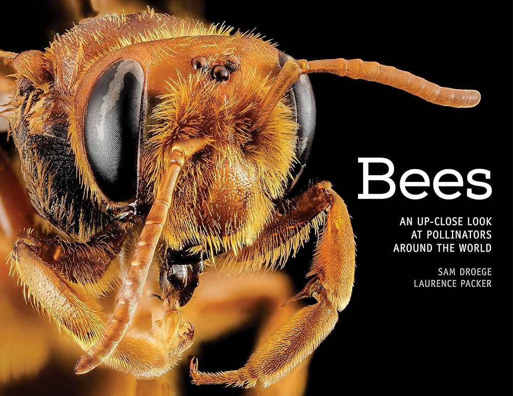 Bees: An Up-Close Look at Pollinators Around the World | Amazon (US)