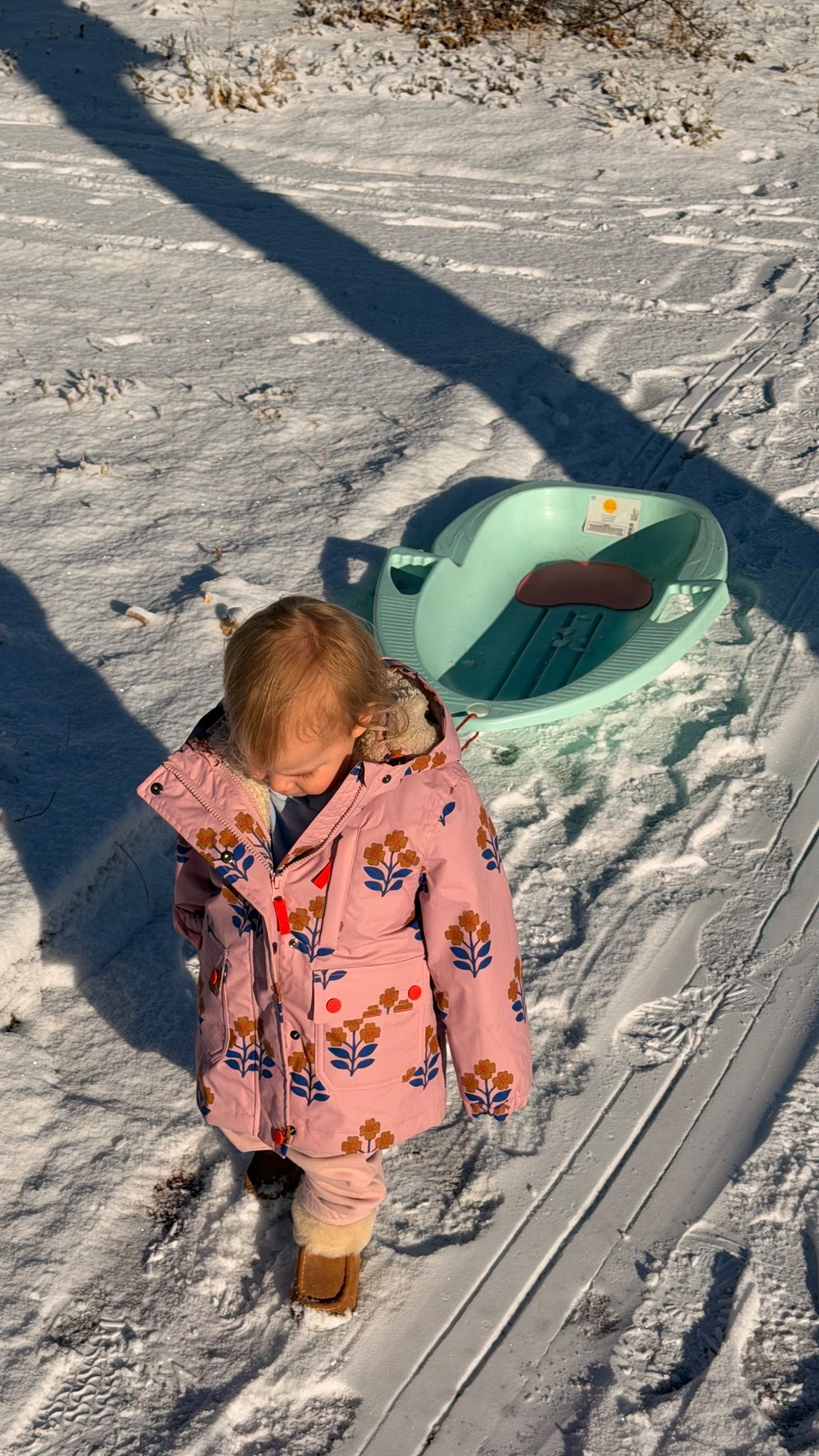 toddler snow jacket, kids winter coat, toddler winter gear, kids snow gear essentials, warm toddler jacket, insulated kids coat, waterproof toddler snow jacket, kids cold weather outerwear, winter jacket for toddlers, snow jacket for kids, fleece lined toddler coat, hooded winter jacket for kids, durable kids winter jacket, lightweight warm toddler coat, easy on winter jacket for toddlers, functional kids outerwear, winter essentials for kids, snow day outfits for toddlers, practical winter gear for kids

#LTKKids #LTKBaby