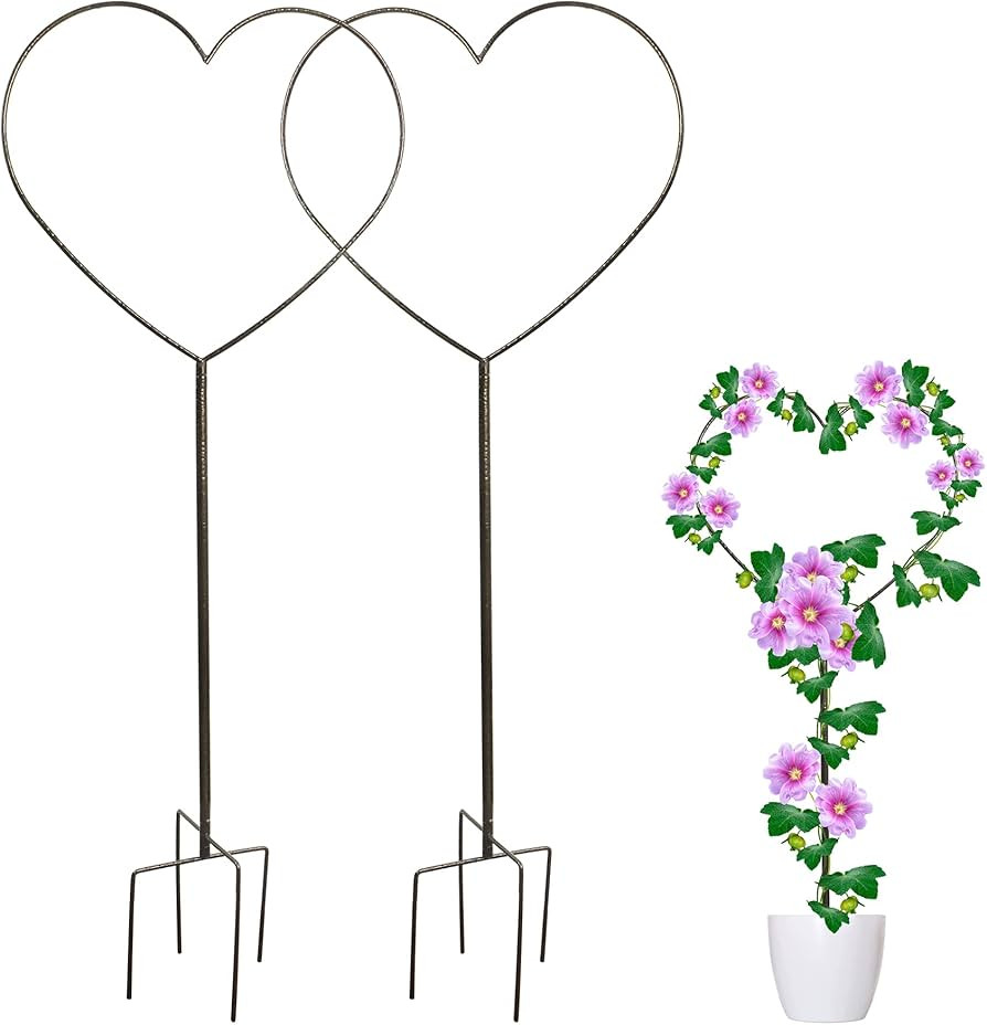 Amazon.com : GARTOL Metal Trellis for Climbing Plants Indoor Outdoor Heart-Shaped Trellis, Decora... | Amazon (US)