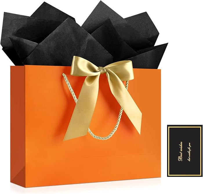 JMANNI Gift Bags with Handles, 13\u201d Medium Gift Bag for Presents, 1 Pcs Bags with 2 Tissue Pa... | Amazon (US)