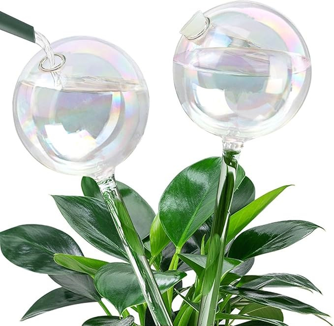 2pcs Glass Plant Watering Globes, Clear Rainbow Color Flower Self-Watering System Spikes, Automat... | Amazon (US)