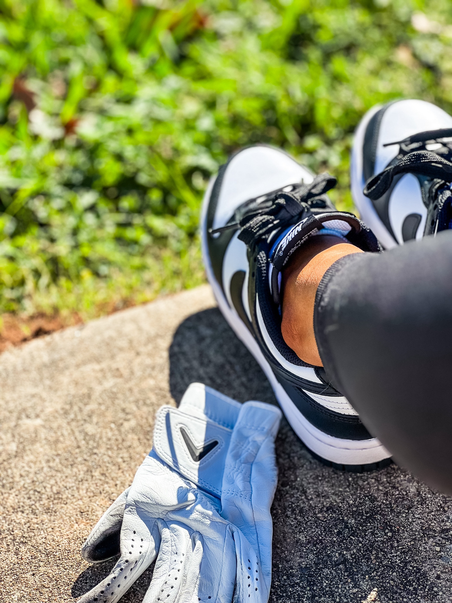 The high top version of my favorite shoes are on major sale for $65! 

#LTKShoeCrush #LTKSaleAlert #LTKFindsUnder100