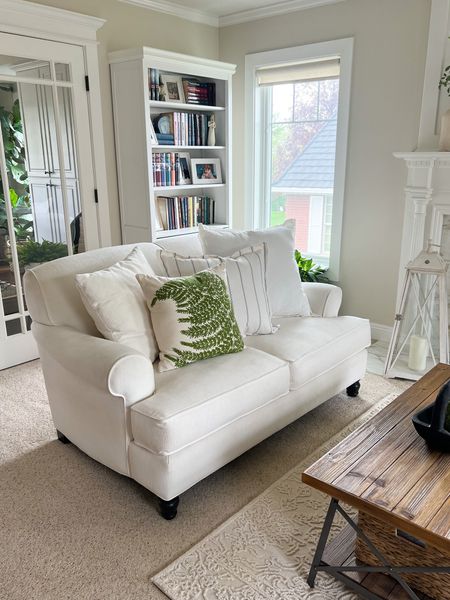 Let’s deep clean our couches and shop my living room!

#LTKhome