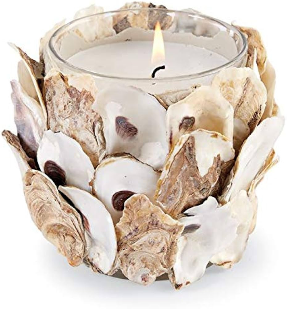 Oyster Shell Filled Candle | Amazon (US)