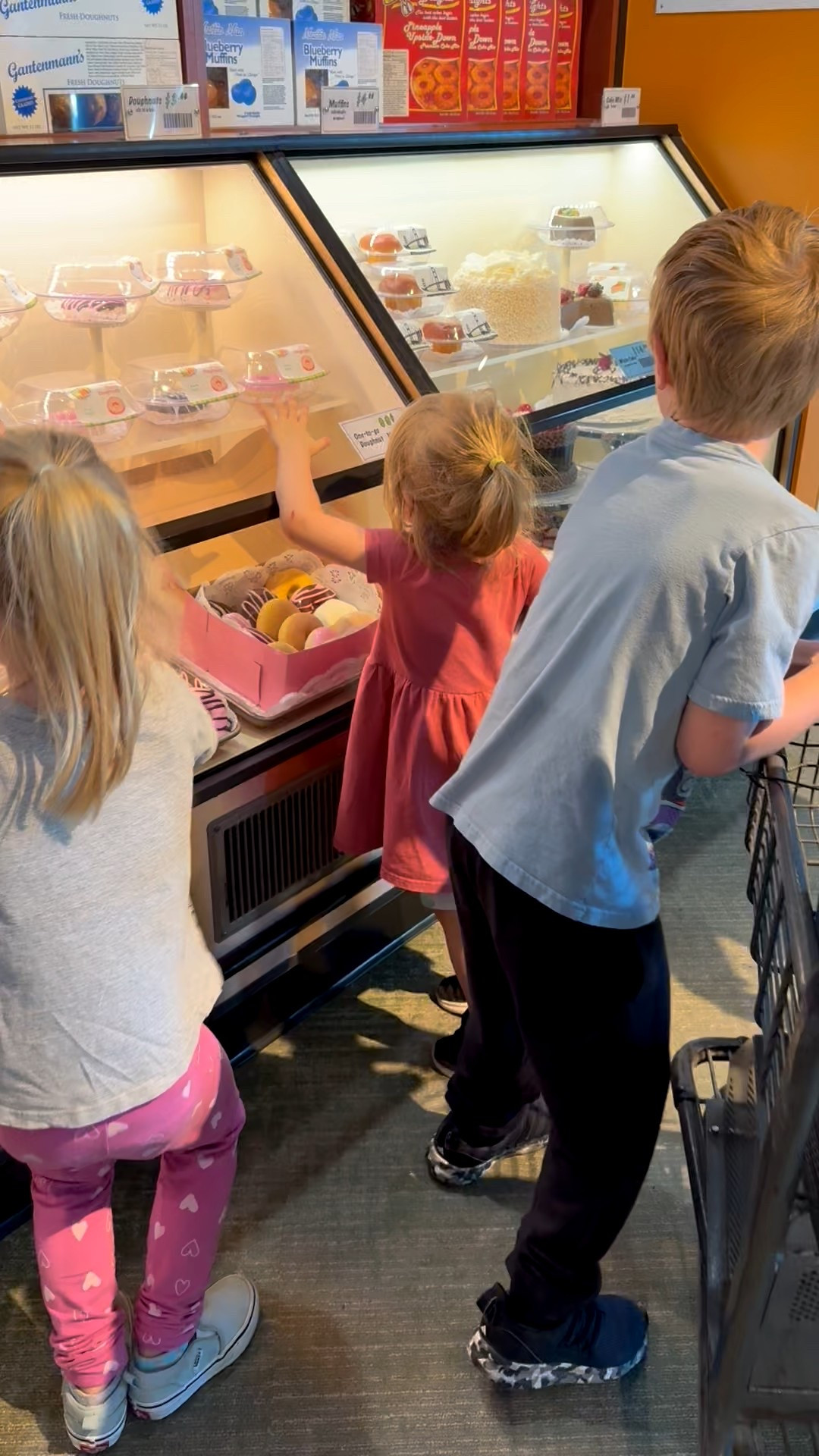 Grocery shopping at the discovery cube! 



#LTKKids #LTKvlog #LTKmomlife