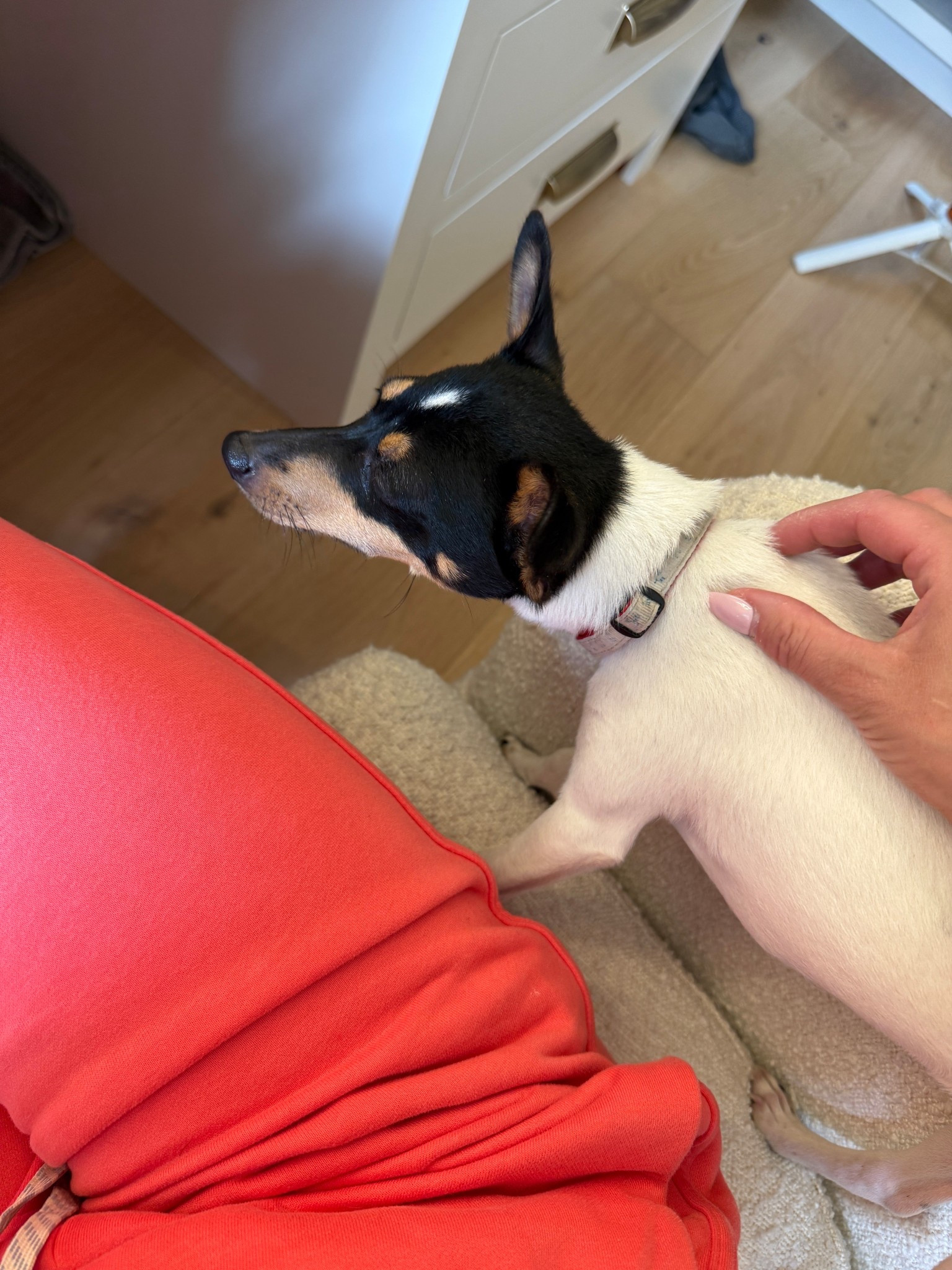 These sweats are such a fun color for spring! Vuori will always be a fave for me.

#LTKgrwm #LTKHome #LTKootd