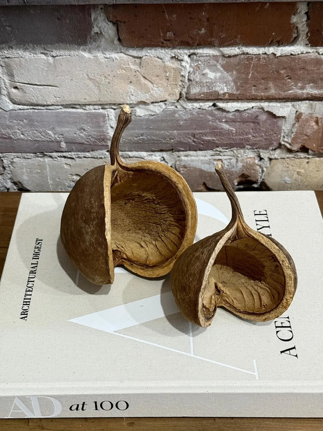 Buddha Nut - Etsy | Etsy (US)