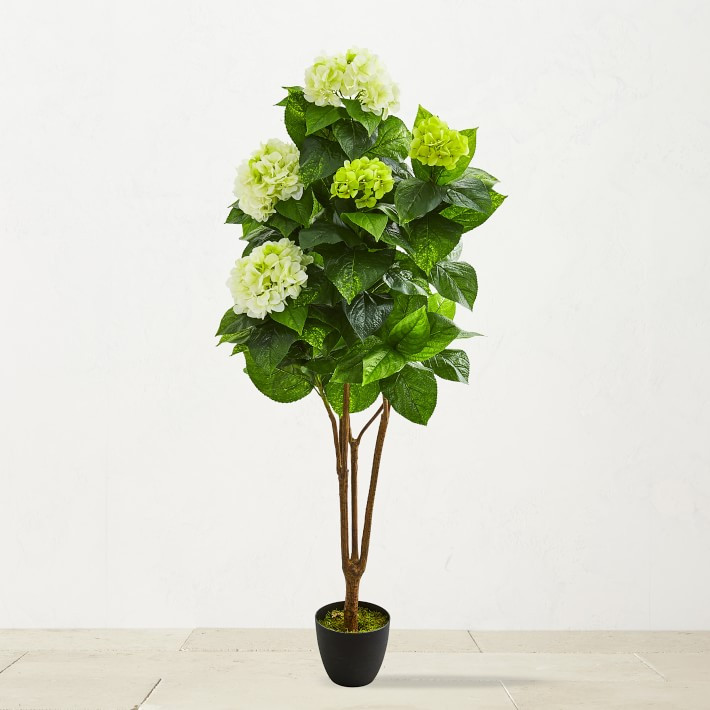 Faux Hydrangea Plant, 60" | Williams-Sonoma