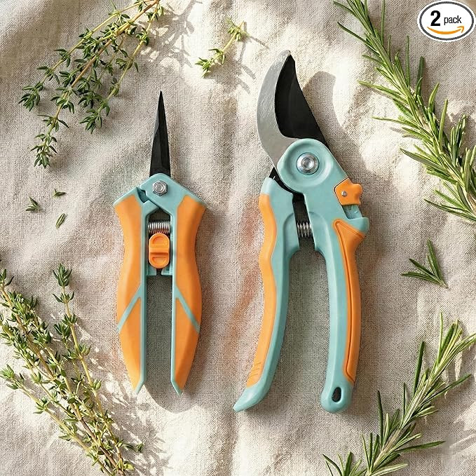 Garden Pruning Shears 2 Pack, 8" Bypass Hand Pruner & 6.25" Precision Garden Scissors, Profession... | Amazon (US)