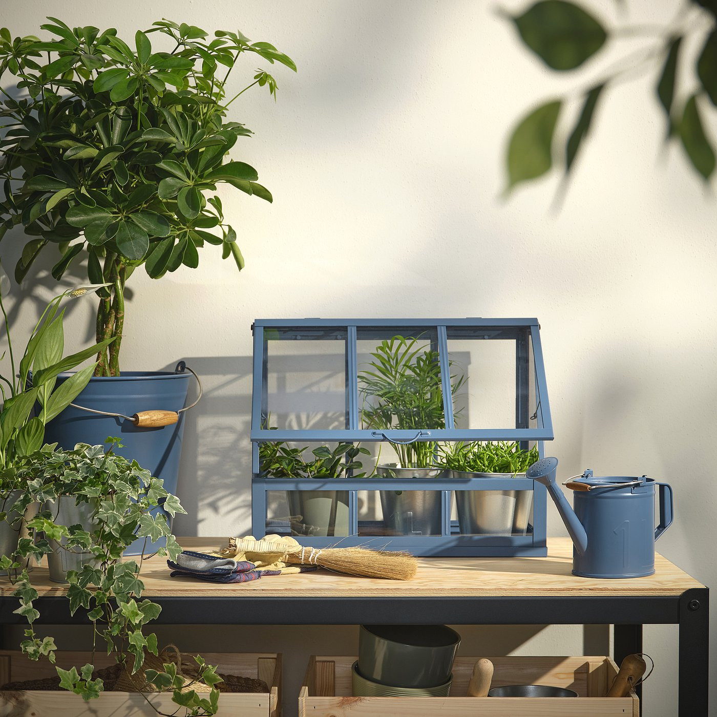 IKEA ÅKERBÄR greenhouse, indoor/outdoor dark blue, 17 ¾ | IKEA US
