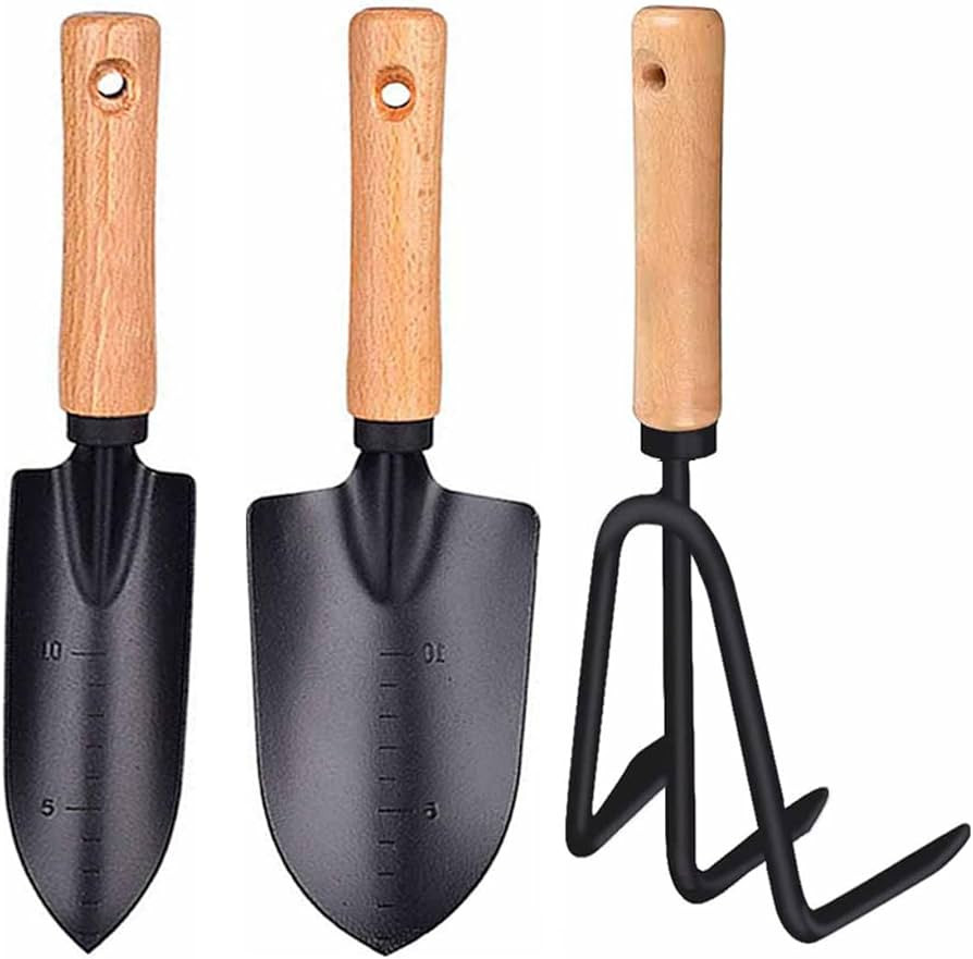 3 Pieces Garden Tools Set-Garden Rake Trowel, Gardening Tools with Wood Handle,Iron Crafts Garden... | Amazon (US)