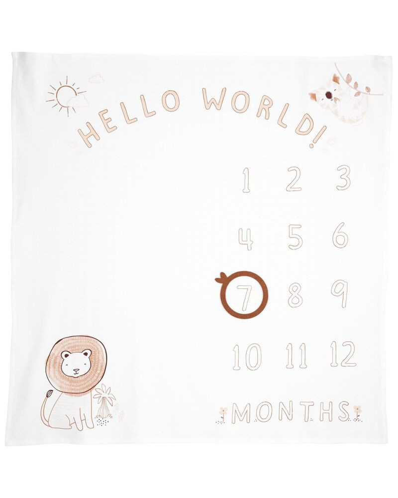 Baby Lion Milestone Blanket | Carter's
