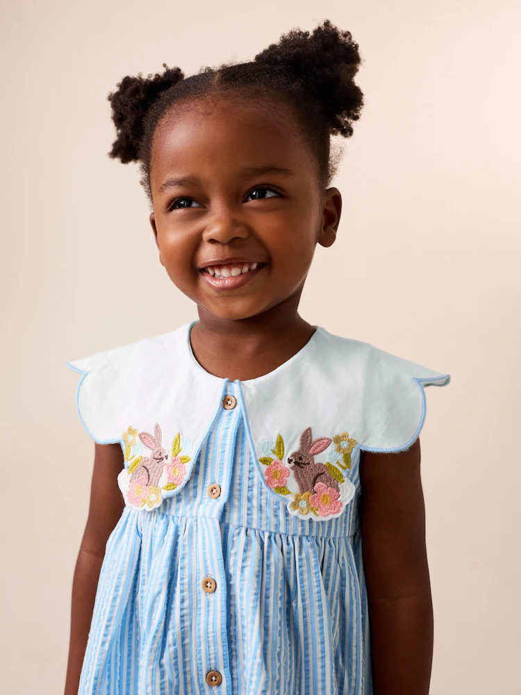 Blue Striped Collared Summer Dress (3mths-7yrs) | Next US