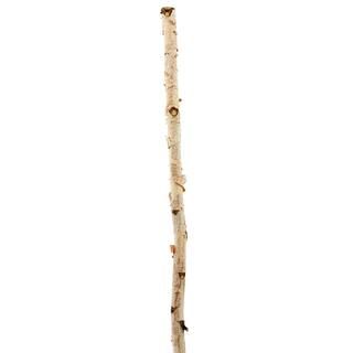 8 Pack: Natural River Birch Branch by Ashland® | Michaels Stores