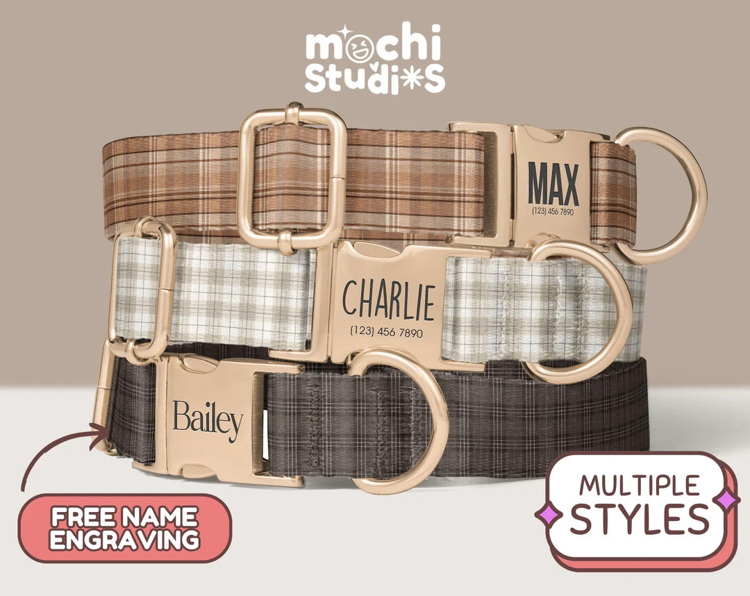 Plaid Striped Personalized Dog Collar Plaid Pattern, Custom Name & Phone Number, Collar Leash Set... | Etsy (US)