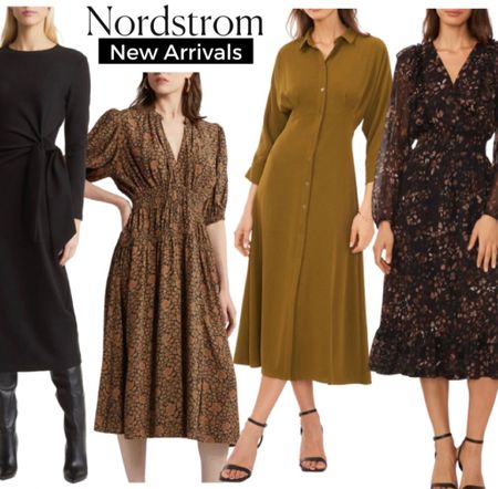 Nordstrom dress
Fall Dress

Fall outfit 
Fall outfits 
#ltkseasonal 
#ltku
#ltkstyletip


#LTKwedding #LTKfindsunder100 #LTKworkwear
