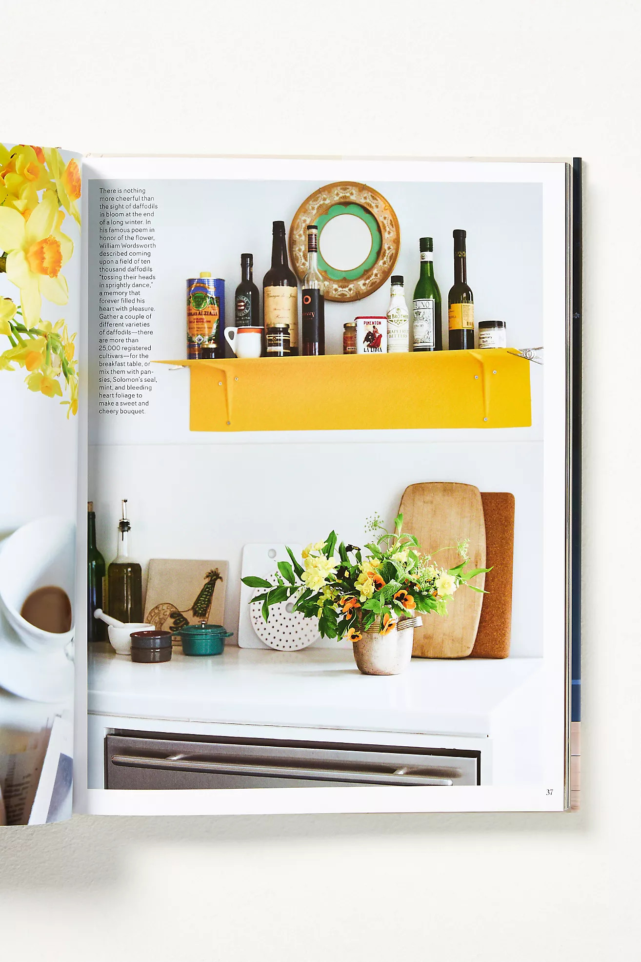 Bringing Nature Home Hardcover Book | Anthropologie (US)