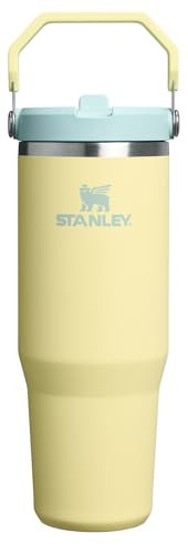 Stanley IceFlow 2.0 Flip Straw Tumbler with Handle 30 oz | Twist On Lid and Flip Up Straw | Leak Resistant Water Bottle | Insulated Stainless Steel | BPA-Free | Pomelo | Amazon (US)
