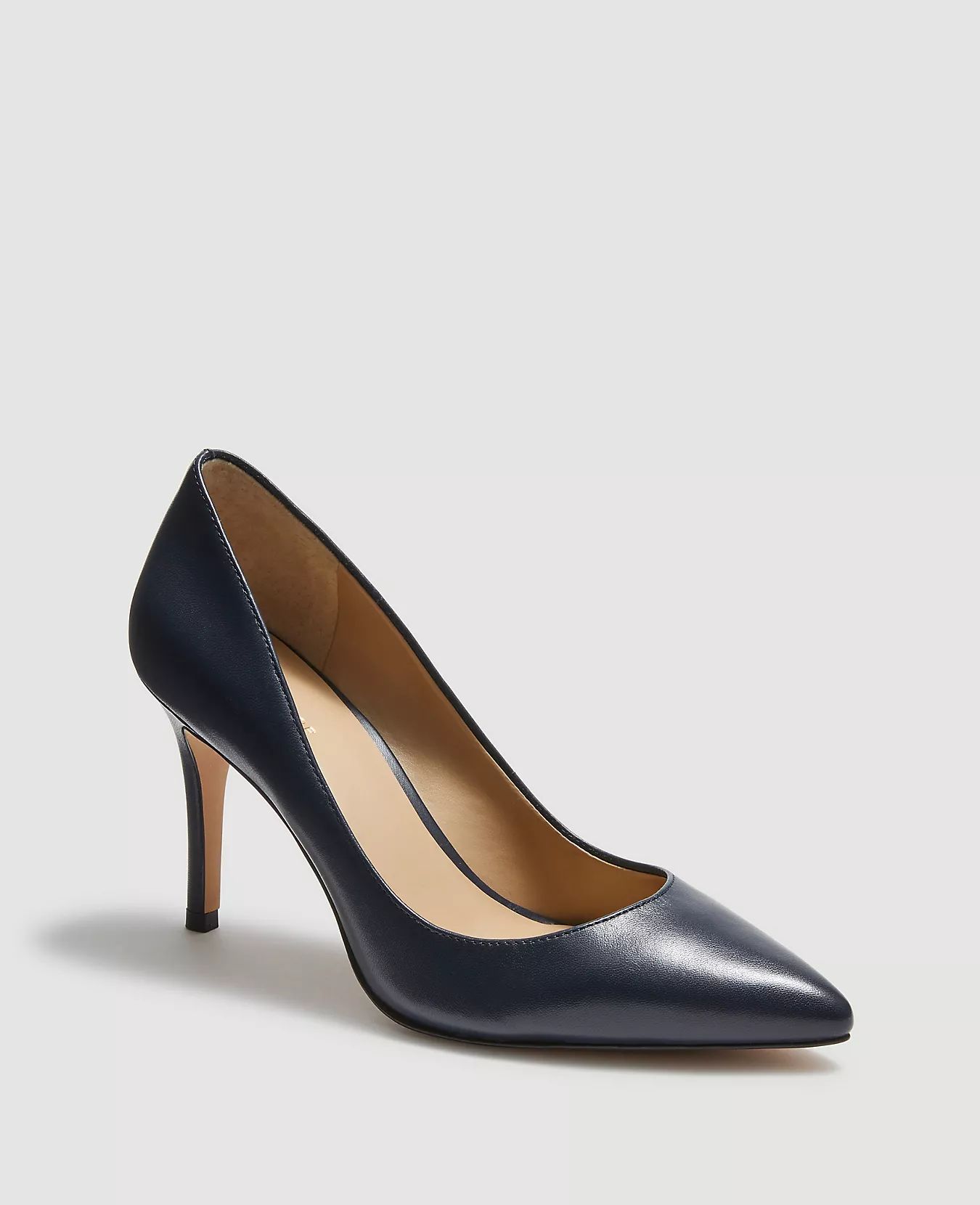 Mila Leather Pumps | Ann Taylor (US)