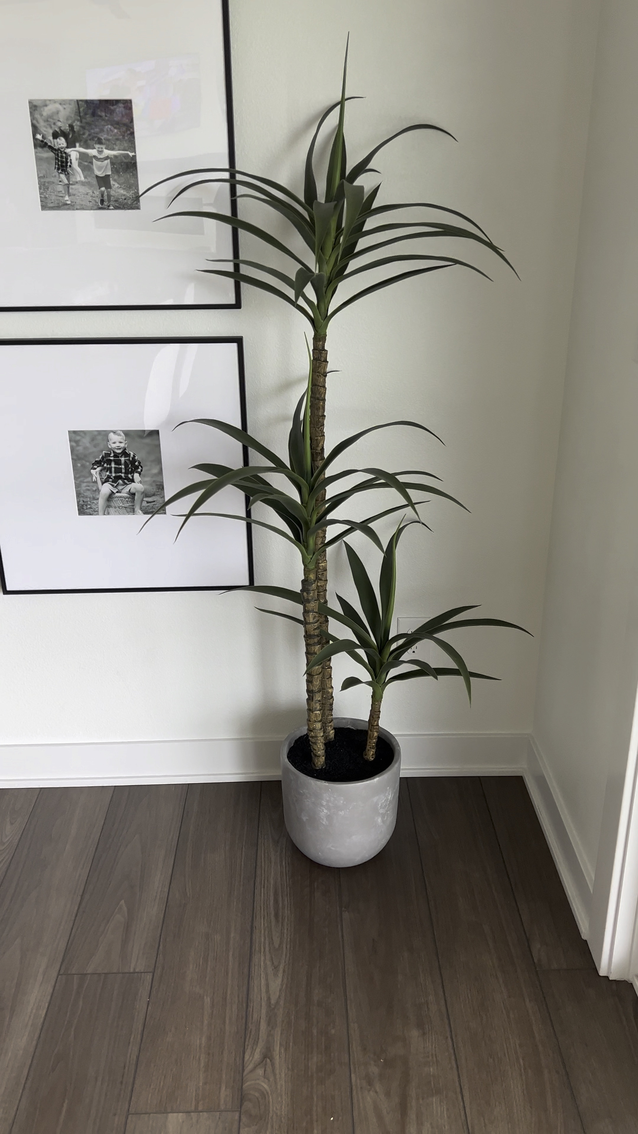 My dracaena faux plant is back in stock!

Plants, faux plants, artificial plants, house plants, outdoor plants, fake plants, indoor plants, patio plants, porch plants, artificial tree, faux tree, indoor tree, Home, home decor, home decor on a budget, home decor living room, modern home, modern home decor, modern organic, Amazon, wayfair, wayfair sale, target, target home, target finds, affordable home decor, cheap home decor, sales,

#LTKhome