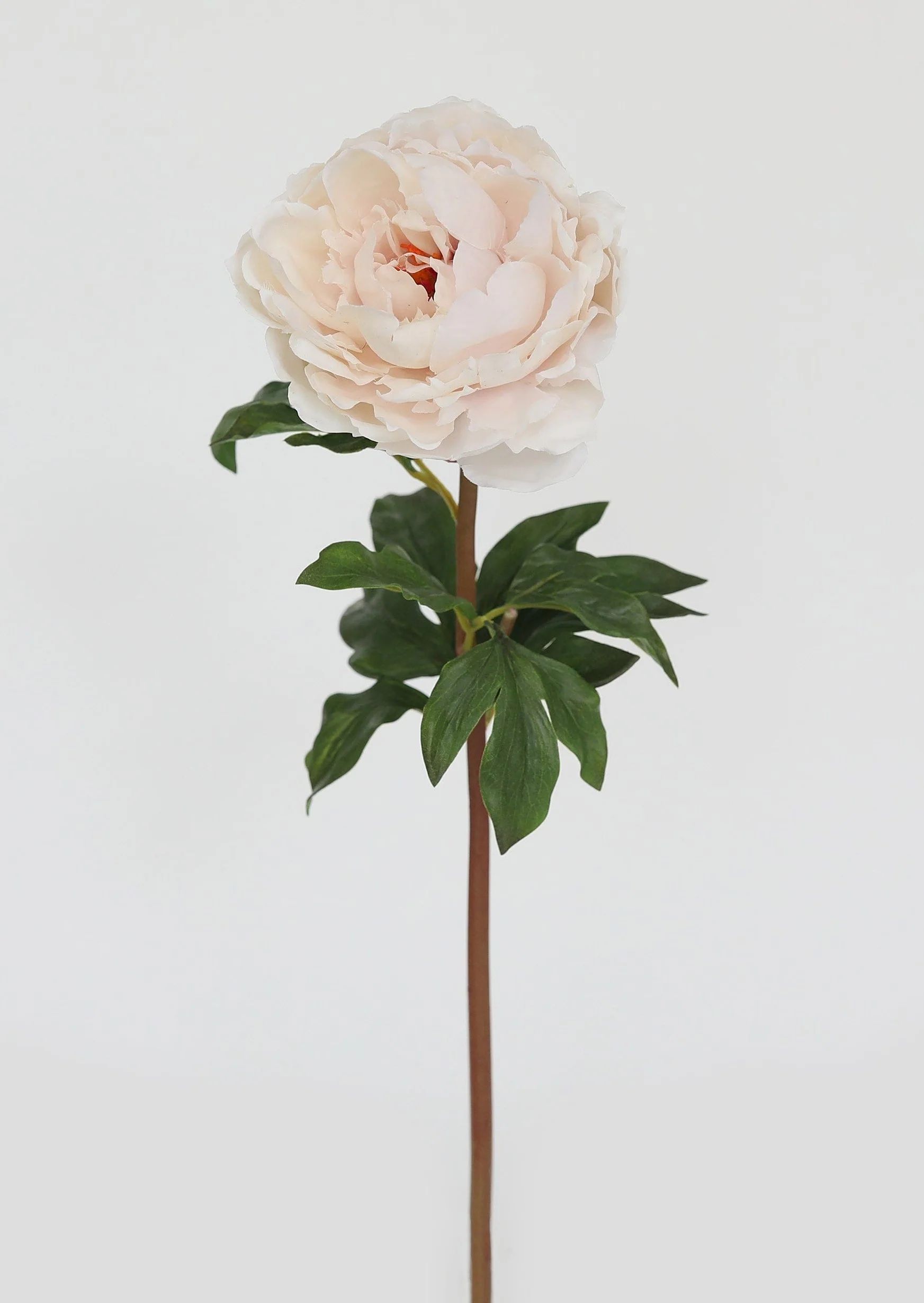 Real Touch Peony in Tissue Blush - 20.5" | Afloral