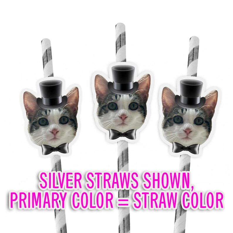 Cat Face Party Straws: Top Hat & Bow Tie, Bachelorette Meowied Theme (set of 10) - Etsy | Etsy (US)