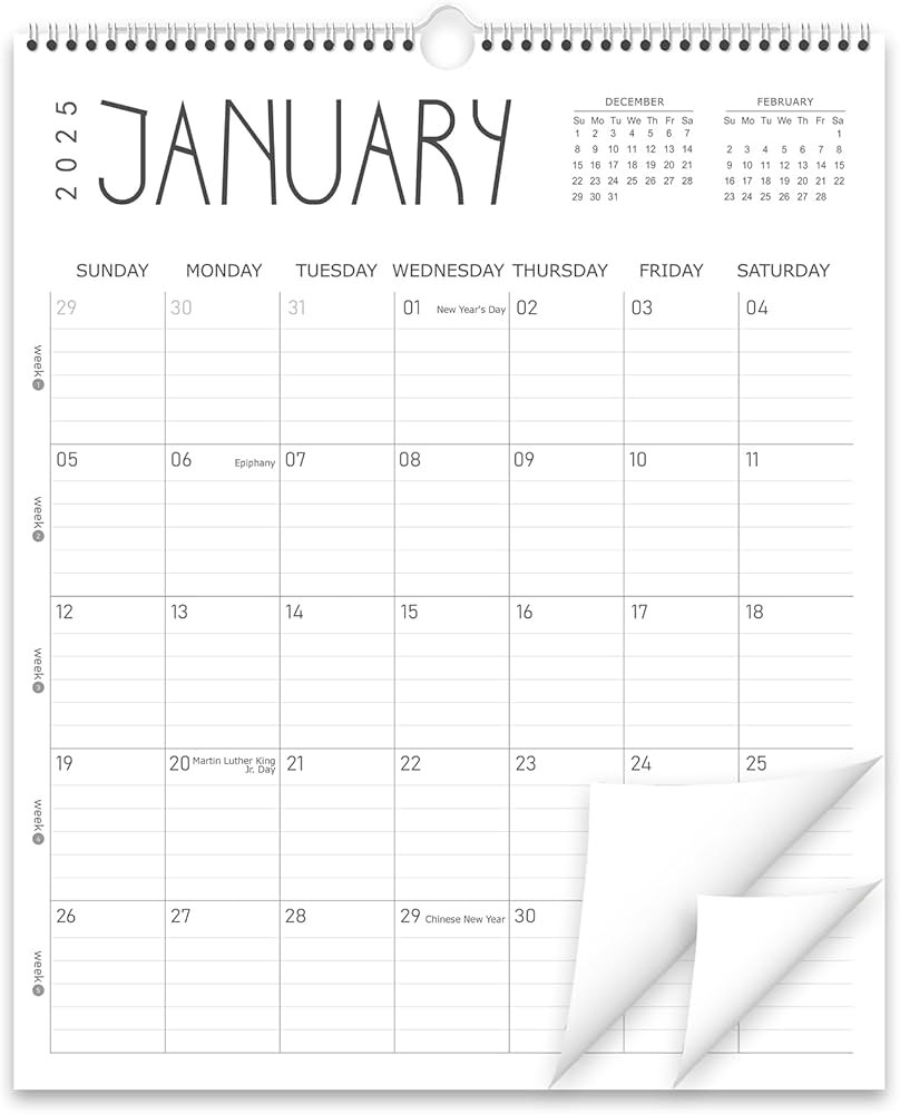 Guasslee Wall Calendar 2025, 11.5" X 14" Vertical Wall Calendar 2025, 18-Month Desk/Wall Calendar... | Amazon (US)