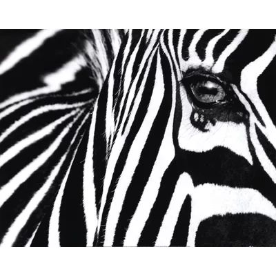 "Black and White II" by Rocco Sette Photographic Print | Wayfair North America