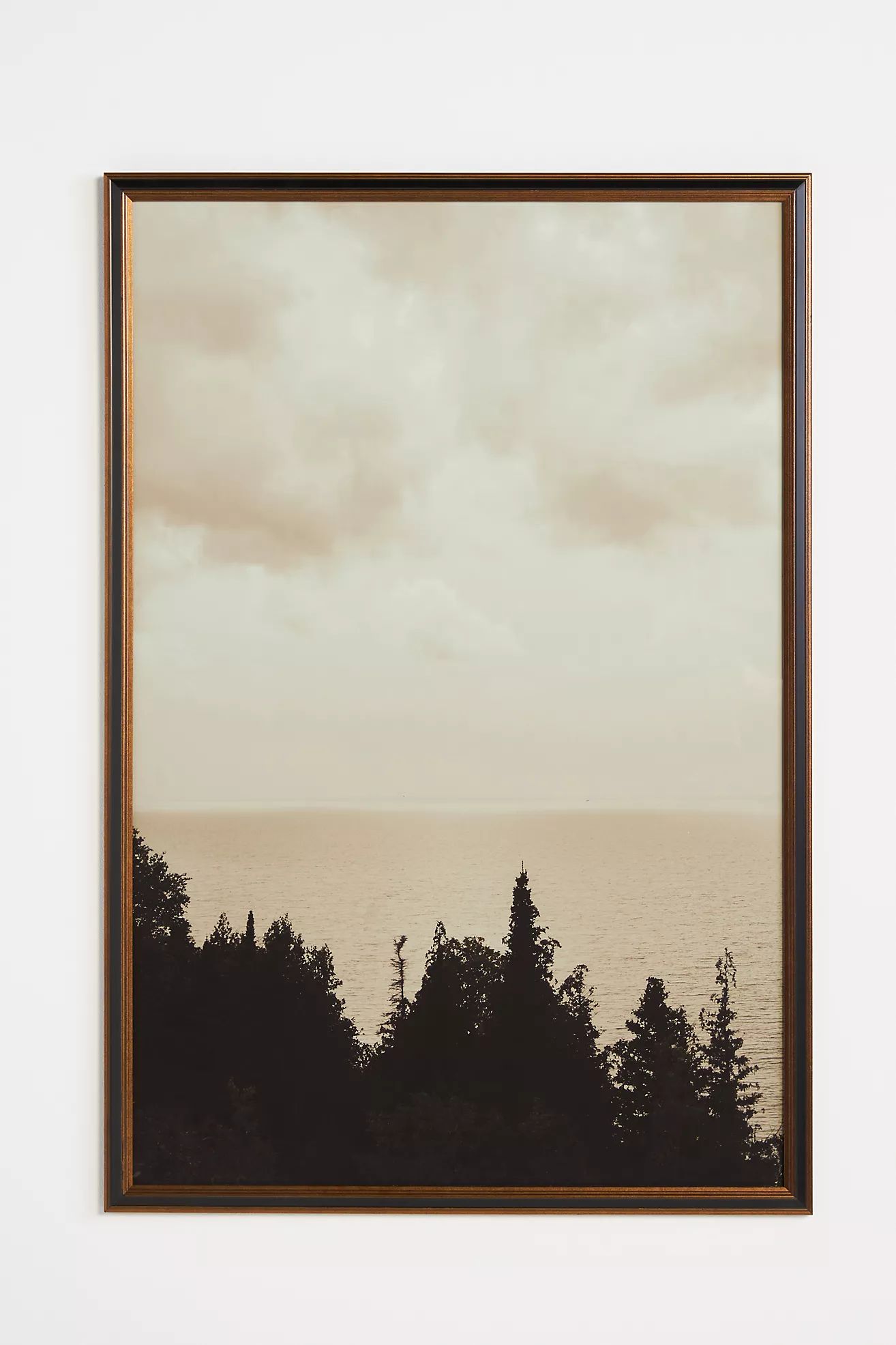 Silver Lining Wall Art | Anthropologie (US)