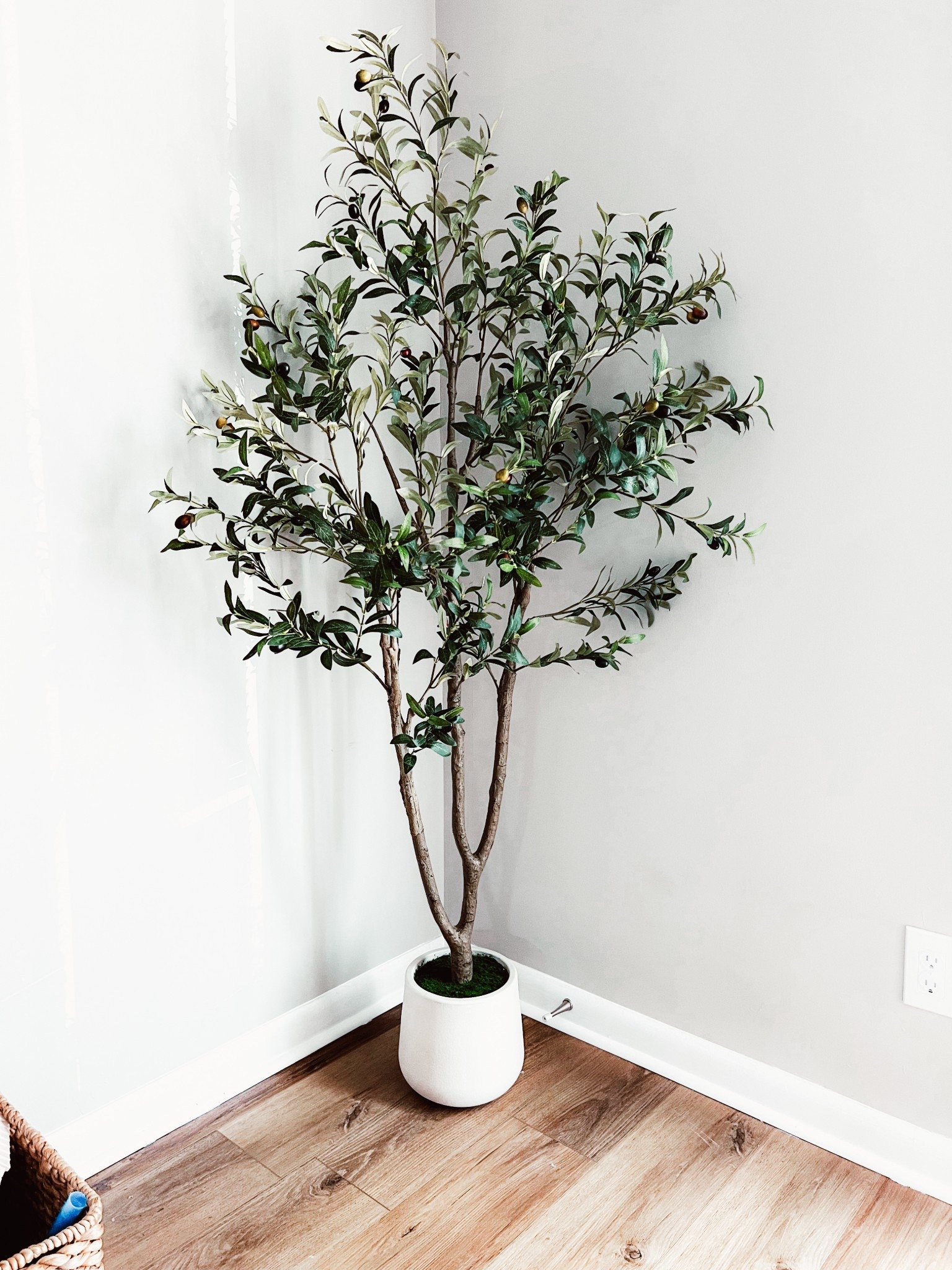 Absolutely love this faux olive tree. Still need to get a pot but it’s so pretty. 

#LTKFindsUnder100 #LTKHome