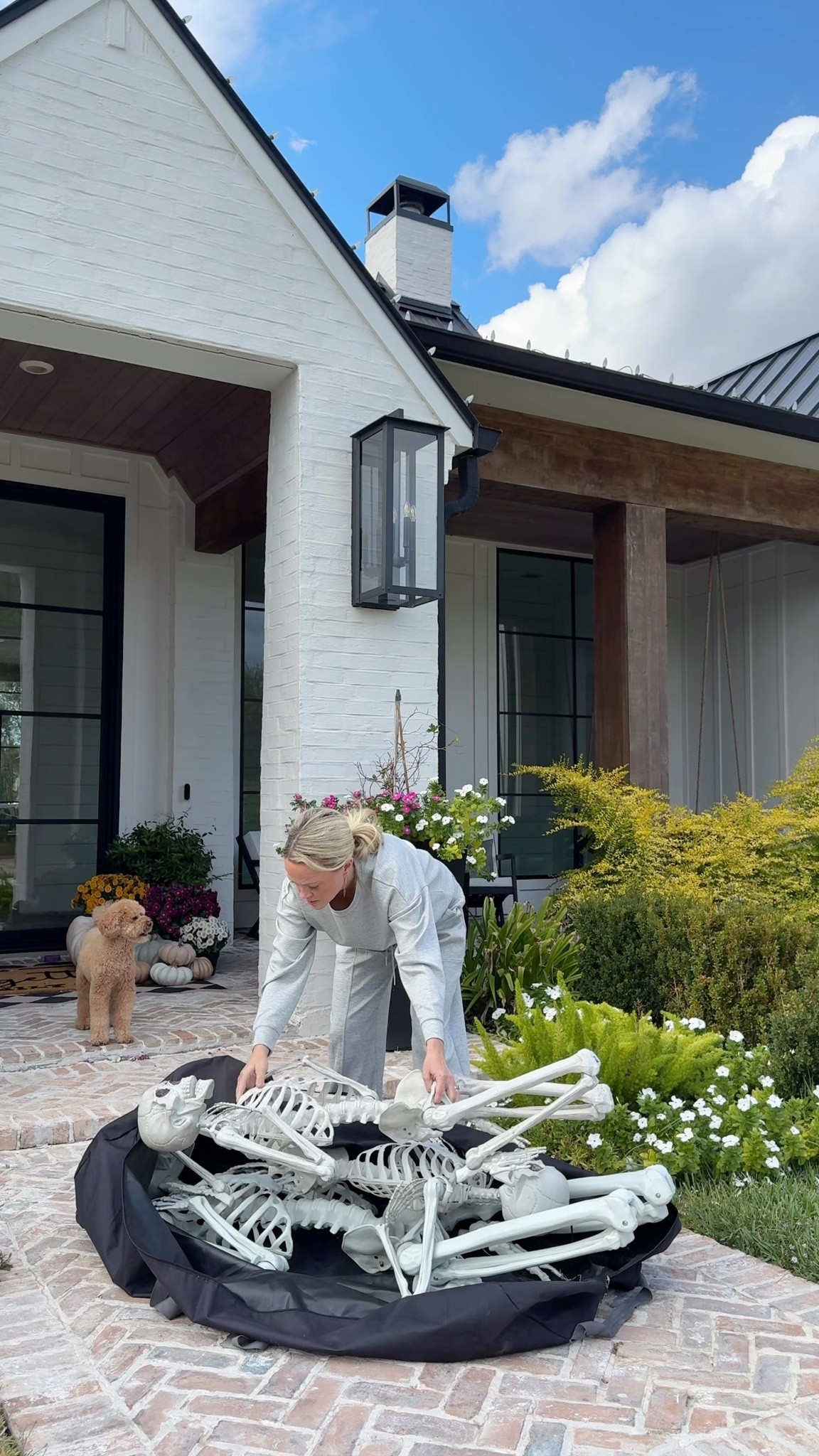 Here is an easy storage solution for your skeletons! 

Christmas tree  / holiday decor / skeleton / Halloween / front porch / rug / Walmart fashion /athleisure / loungewear / sneakers / 

#LTKHoliday #LTKSeasonal #LTKHome