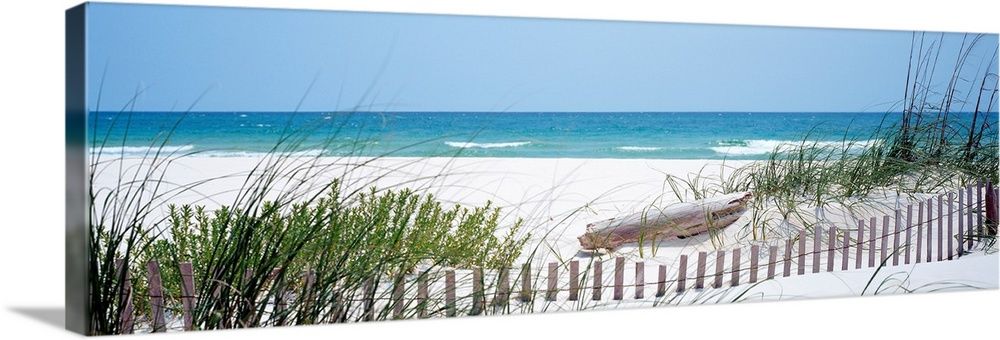 Fence Beach, AL Wall Art | Great Big Canvas - Dynamic