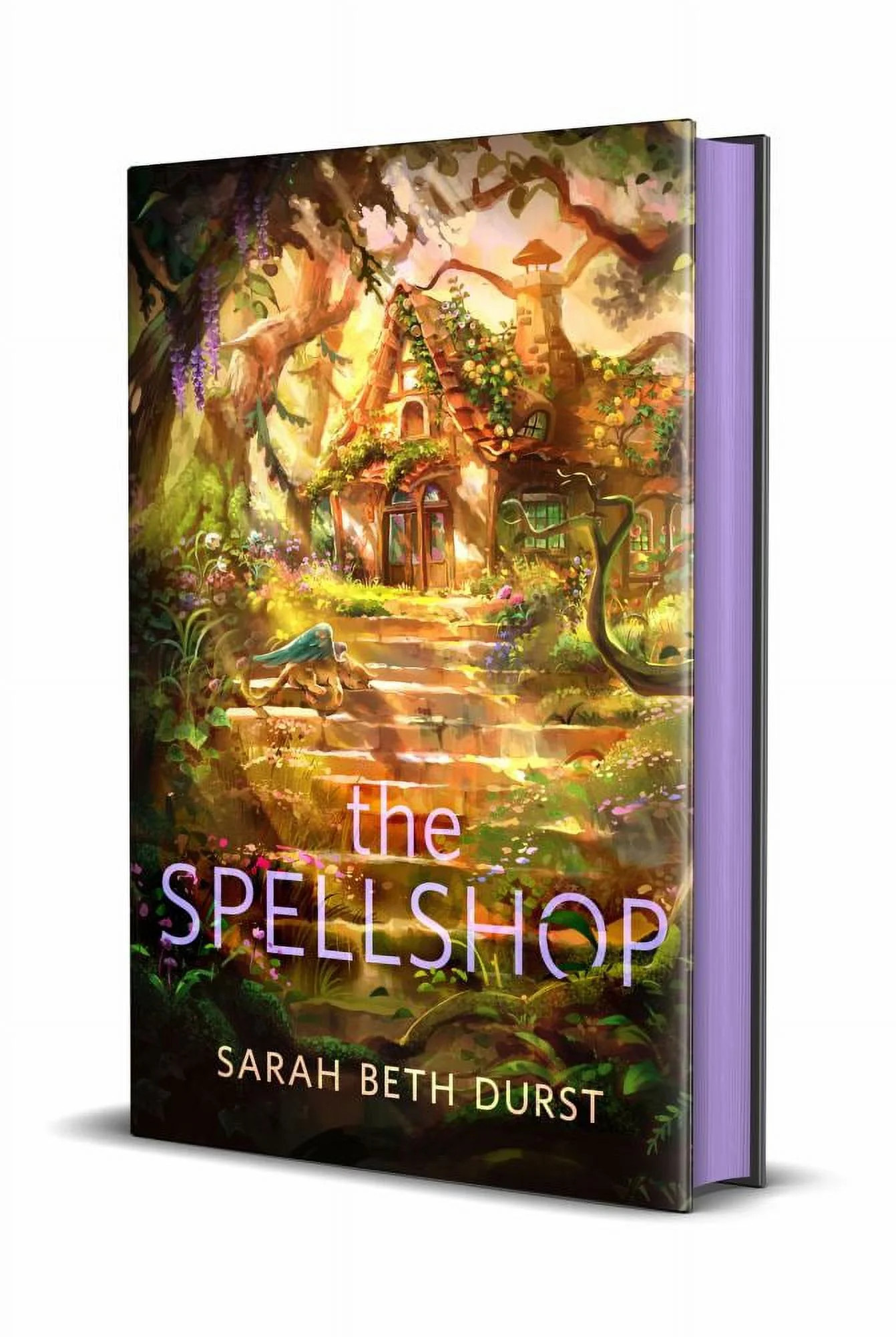 Sarah Beth Durst: The Spellshop (Hardcover) | Walmart (US)