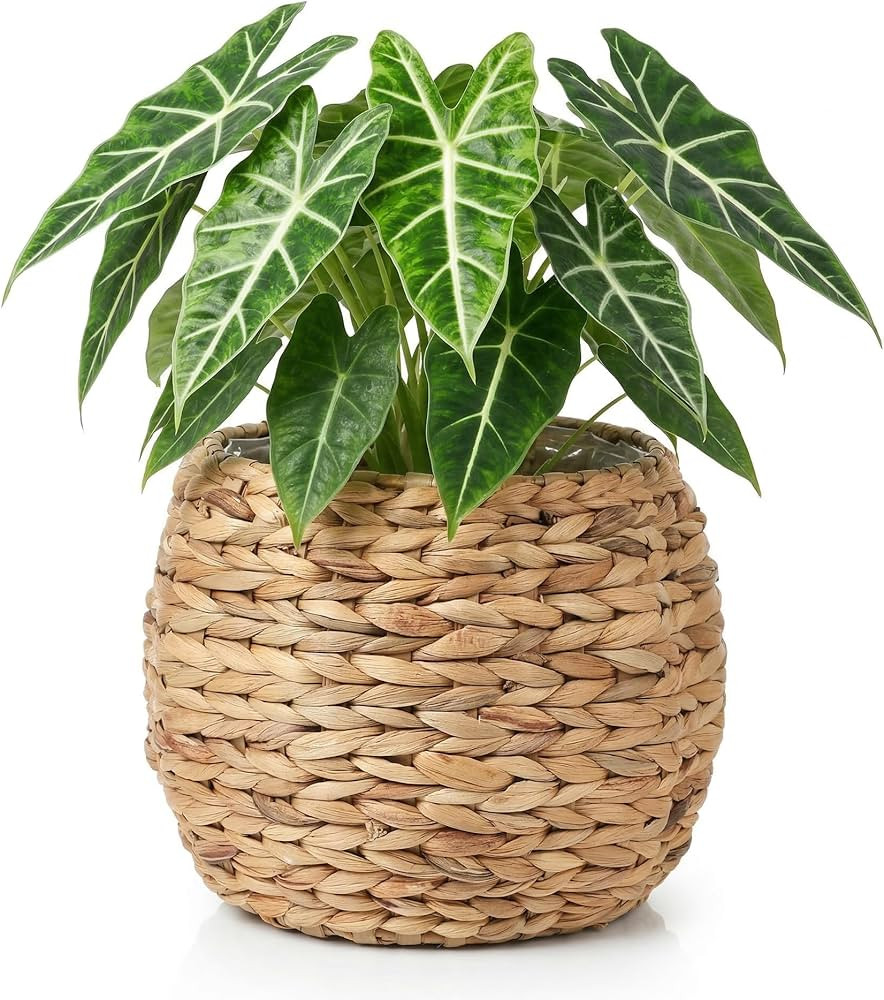 Cabilock Handwoven Hyacinth Planter Basket, Natural Woven Rattan Storage Basket for Small Plants,... | Amazon (US)