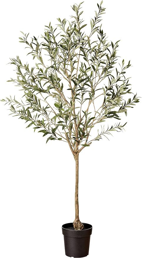 Amazon Brand - Stone & Beam Artificial Olive Tree with Plastic Nursery Pot, 5.6 Feet (67.5 Inches... | Amazon (US)