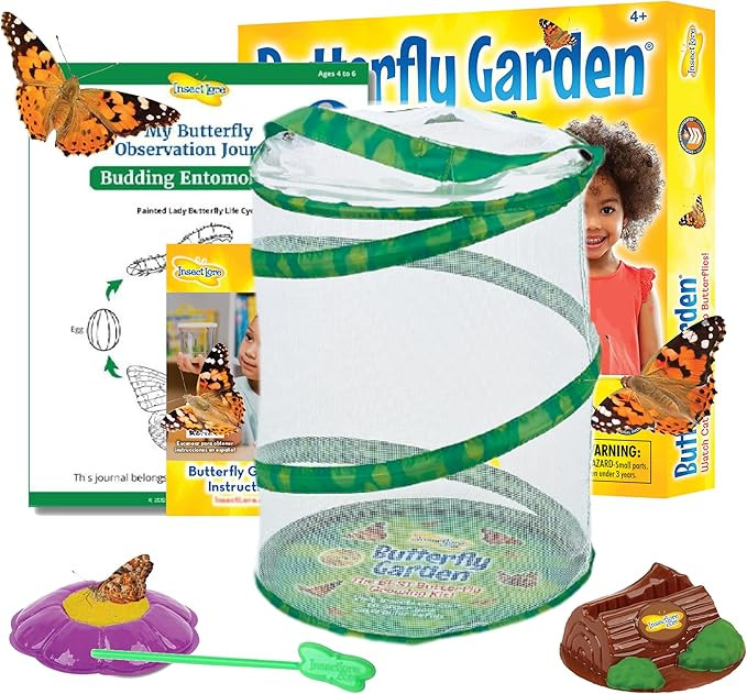 Insect Lore Butterfly Garden Kit, Painted Lady Butterfly Kit with Voucher for Live Caterpillars, ... | Amazon (US)
